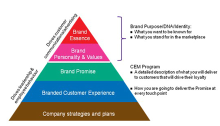 ��λ��������׌�͑��w�ɞ���I(y��)DNA��һ����